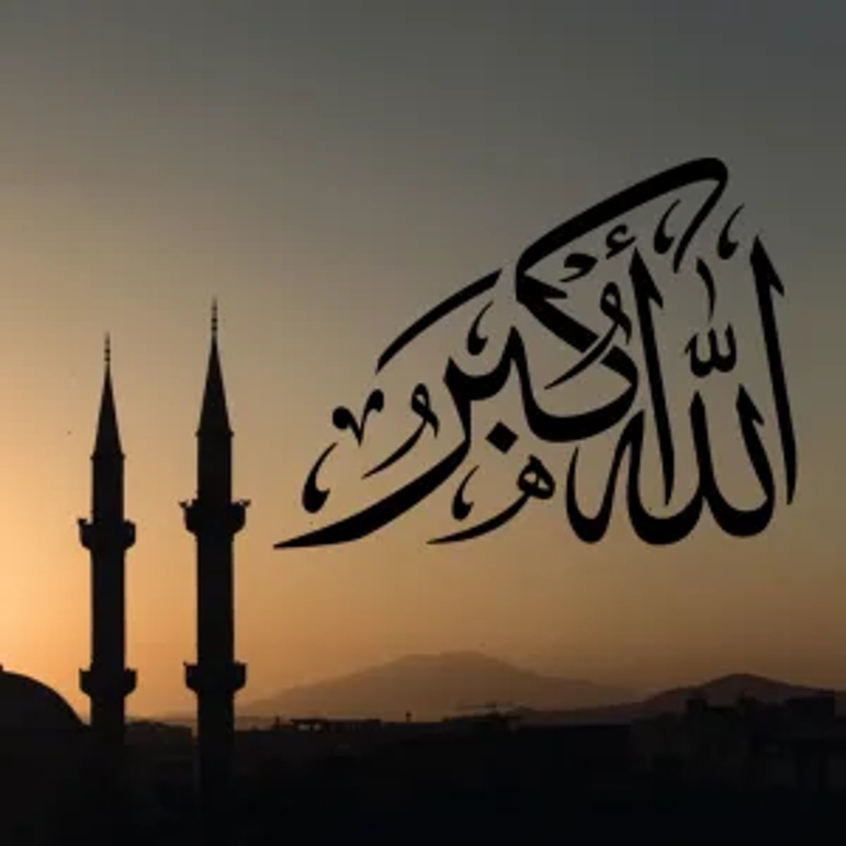 fatiha b.
